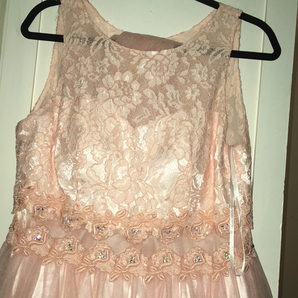 Blush pink knee length dress